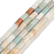 Natural Flower Amazonite Beads Strands, Column, 7.5~8.5x5~6mm, Hole: 1mm, about 45~46pcs/strand, 14.69~15.04 inch(37.3~38.2cm)(G-C128-A01-01)