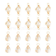 DIY Jewelry Making Finding Kit, Including Grade AA Natural Pearl Pendants & Connector Charms, with Copper Wire Wrapped, Golden, 16.5~23x8.5~9x7~8mm, Hole: 3~3.5mm, 20Pcs/box(FIND-HY0003-32)