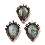 Natural Labradorite Pendants, Teardrop Charms with Rack Plating Red Copper Tone Handmade Solder Tin, Cadmium Free & Lead Free, 36x24x6.5mm, Hole: 4.5mm(G-G004-04R)