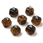 Natural Tiger Eye Pumpkin Charms with Platinum Tone Brass Bails, 14x14mm, Hole: 1.6mm(G-C158-06P-01)