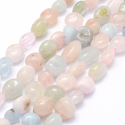 Natural Morganite Beads Strands, Oval, 5~12x6~9x4~7mm, Hole: 1mm, about 50~53pcs/strand, 15.3 inch~15.7 inch(G-K230-16)
