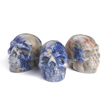 Natural Sodalite Display Decorations, No Hole/Undrilled, Skull, 24~26x29~31x37~40mm