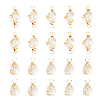 DIY Jewelry Making Finding Kit, Including Grade AA Natural Pearl Pendants & Connector Charms, with Copper Wire Wrapped, Golden, 16.5~23x8.5~9x7~8mm, Hole: 3~3.5mm, 20Pcs/box