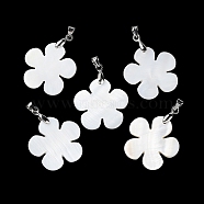 Natural White Shell Pendants, Flower Charms with Platinum Plated Brass Pinch Bails, White, 23x24x1.5~2mm, Hole: 5x4mm(BSHE-Z003-35P)
