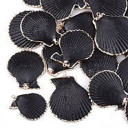 Spray Paint & Electroplate Sea Shell Pendants, with Iron Findings, Light Gold, Black, 34~56x29~48x3~10mm, Hole: 2mm(SSHEL-S262-06A)