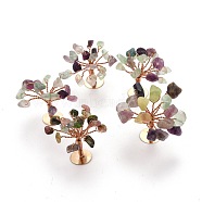 Natural Fluorite Chips Display Decorations, with Golden Plated Brass Wires, Lucky Tree, 27~42.5x23.5~28x31.5~35mm(G-Z016-13I)