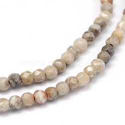 Natural Chrysanthemun Stone Round Beads Strands, Faceted, 3mm, Hole: 0.5mm, about 138~142pcs/strand, 15.3 inches(G-P115-03)