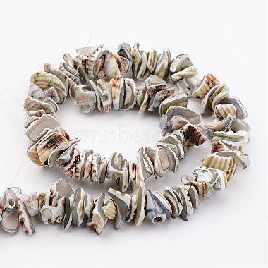 Natural Shell Bead Strands(BSHE-P010-08)-2