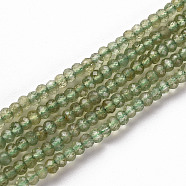 Natural Apatite Beads Strands, Rondelle, Faceted, 3x2mm, Hole: 0.5mm, about 188~190pcs/strand, 15.35 inch(39cm)(G-S362-100)