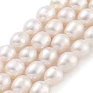 Natural Cultured Freshwater Pearl Beads Strands, Rice, Grade 3A, White, 5~5.5mm, Hole: 0.6mm, about 27pcs/strand, 6.89''(17.5cm)(PEAR-P062-09C)