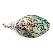 Oval Natural Paua Shell Brooches, with Brass Pins & Pearl, Platinum, 28x54x12mm(JEWB-E031-09P)