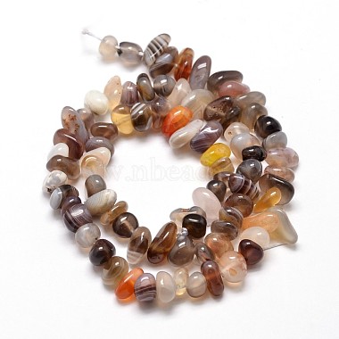 Natural Botswana Agate Chip Beads Strands(X-G-E271-104)-2