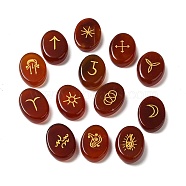 13Pcs Natural Carnelian Rune Stone, Healing Stone for Reiki Balancing, Oval, Divination Supplies, 20.5x15x6mm(G-C095-02G)