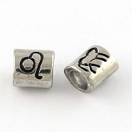 Smooth Surface 304 Stainless Steel European Bead, Large Hole Beads, Oval Constellation/Zodiac Sign Style, Leo, 9x8.5x6.5mm, Hole: 4.5mm(STAS-R079-A07)
