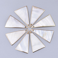 Electroplate Freshwater Shell Big Pendants, for DIY Jewelry Making, Edge Golden Plated, Triangle, Seashell Color, 46~51x30~32x1.5mm, Hole: 1.2mm(X-SHEL-S276-66)