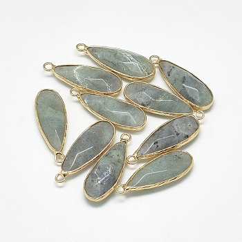 Natural Labradorite Pendants, with Golden Tone Brass Findings, Faceted, teardrop, 30~32x11.5~12.5x6mm, Hole: 2mm