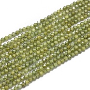 Cubic Zirconia Beads Strands, Faceted, Round, Olive, 2mm, Hole: 0.5mm, about 169pcs/strand, 15.7 inch(40cm)(G-G792-47-04A)