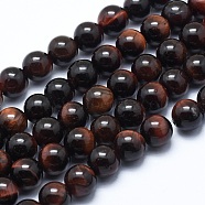 Natural Tiger Eye Bead Strands, Dyed & Heated, Round, Grade AB+, 8mm, Hole: 1.2mm, about 48pcs/strand, 14.7 inch(37.5cm)(G-P370-04-8mm)