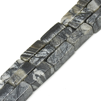 Natural Black Silk Stone/Netstone Beads Strands, Cuboid, 20~21x8~8.5x8~8.5mm, Hole: 1mm, about 19pcs/strand, 15.5 inch