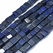 Natural Lapis Lazuli Beads Strands, Dyed, Cube, 3~4.5x3~4.5x3~5mm, Hole: 0.8~1mm, about 89~97pcs/strand, 15.1~15.5 inch(38.5~39.5cm)(G-F631-C10)