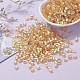 6/0 Glass Seed Beads(SEED-YW0001-25K)-6