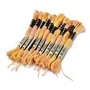 10 Skeins 6-Ply Polyester Embroidery Floss, Cross Stitch Threads, Segment Dyed, Gold, 0.5mm, about 8.75 Yards(8m)/skein(OCOR-K006-A45)