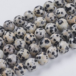 Natural Dalmation Jasper Beads Strands, Round, 8mm, Hole: 1mm, about 24pcs/strand, 7.6 inch(G-G515-8mm-06)