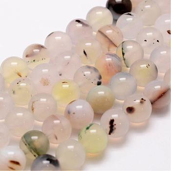 Natural Dendritic Agate Bead Strands, Round, 10mm, Hole: 1.2mm, about 38pcs/strand, 14 inch