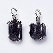 Natural Black Tourmaline Pendants, Nuggets, with Brass Finding, Platinum, 31~40x15~20mm, Hole: 7mm(G-G681-15)