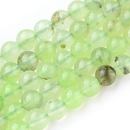 Natural Prehnite Beads Strands, Round, 6.5~7mm, Hole: 1mm, about 62pcs/strand, 15.3~15.5 inch(39~39.5)(G-I250-01C)