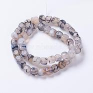 Natural Crackle Agate Bead Strands, Dyed & Heated, Square, 7~8x6.5~8x6.5~8mm, Hole: 1mm, about 48pcs/strand, 13.7 inch~14.1 inch(35~36cm)(G-E932-04A)