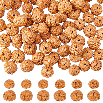 120Pcs 2 Styles Natural Rudraksha Beads, Lead Free, Round, Coral, 9~12x7~9.5mm, Hole: 1~1.2mm, 6pcs/style