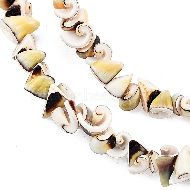 Natural Spiral Shell Beads Strands(SSHEL-G024-02)-3