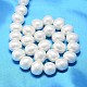 Oval Shell Pearl Bead Strands(BSHE-L013-S-A013A)-3