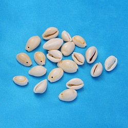 Natural Cowrie Shell Beads, Seashell Color, 10~16x10~11x6~9mm, Hole: 2mm, about 618pcs/500g(BSHE-S055)