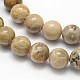 Natural Fossil Coral Round Bead Strands(X-G-N0166-05-8mm)-2