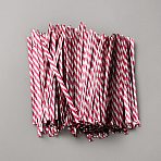 500Pcs Twill PET Plastic Wire Twist Ties, Wrapping Supplies for Gift Bags, Party Cake Pops, Art Craft, Camellia, 100x4x0.5mm(FIND-WH20012-76F)