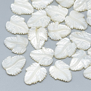 Natural White Shell Mother of Pearl Shell Cabochons, Leaf, 13~14x10~12x2~3mm(SSHEL-S260-103D)