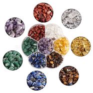 126G 7 Style Chakra Natural Gemstone Chip Beads, Natural Citrine & Red Jasper & Lapis Lazuli & Quartz Crystal & Amethyst & Green Aventurine & Tiger Eye, 5~8x5~8mm, Hole: 1mm, 18g/style(G-SZ0002-05)
