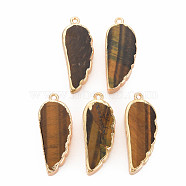 Natural Tiger Eye Pendants, with Light Gold Plated Iron Loop, Wing, 33~33.5x12~13x5~6mm, Hole: 1.8mm(G-N326-127-A04)