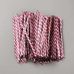500Pcs Twill PET Plastic Wire Twist Ties, Wrapping Supplies for Gift Bags, Party Cake Pops, Art Craft, Camellia, 100x4x0.5mm(FIND-WH20012-76F)