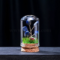 Natural Lapis Lazuli Display Decorations, Miniature Plants, with Glass Cloche Bell Jar Terrarium and Cork Base, Tree, 30x57mm(G-PW0004-25G)