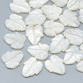 Natural White Shell Mother of Pearl Shell Cabochons, Leaf, 13~14x10~12x2~3mm