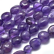 Natural Amethyst Beads Strands, Tumbled Stone, Nuggets, 8~10x7~8x4~6mm, Hole: 0.8mm, about 46pcs/Strand, 15.75 inch(40cm)(G-O186-B-05)