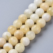 Natural Honey Jade Beads Strands, Round, 8~8.5mm, Hole: 0.8mm, about 46pcs/strand, 14.96 inch(38cm)(X-G-K153-B26-8mm-01)