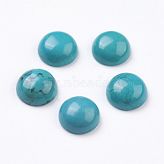 Natural Howlite Cabochons, Half Round, Dyed, Turquoise, 10x5mm(G-E482-09B)