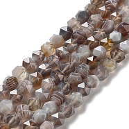 Natural Botswana Agate Beads Strands, Faceted, Star Cut Round Beads, 5.5~6x5.5~6x5.5~6mm, Hole: 1mm, about 66pcs/strand, 15.35 inch(39cm)(G-NH0002-C01-01)