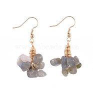 Natural Labradorite Clip Beads Dangle Cluster Earrings, with Brass Earring Findings, 43mm, Pin: 0.5mm(EJEW-JE03949-02)