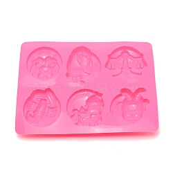 DIY Food Grade Silicone Molds, Resin Casting Molds, For UV Resin, Epoxy Resin Jewelry Making, Twelve Constellations, Hot Pink, 167x230x27.5mm(DIY-WH0257-85)