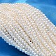Round Shell Pearl Bead Strands(X-BSHE-L011-2.5mm-A013)-1